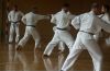 Verein für Karatedo und Judo Shudokan Austria - Aus dem Vereinsleben ...