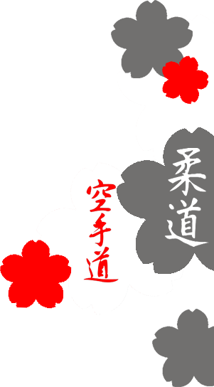 Shudokan Austria - Verein für Judo und Karate - Hintergrundbild